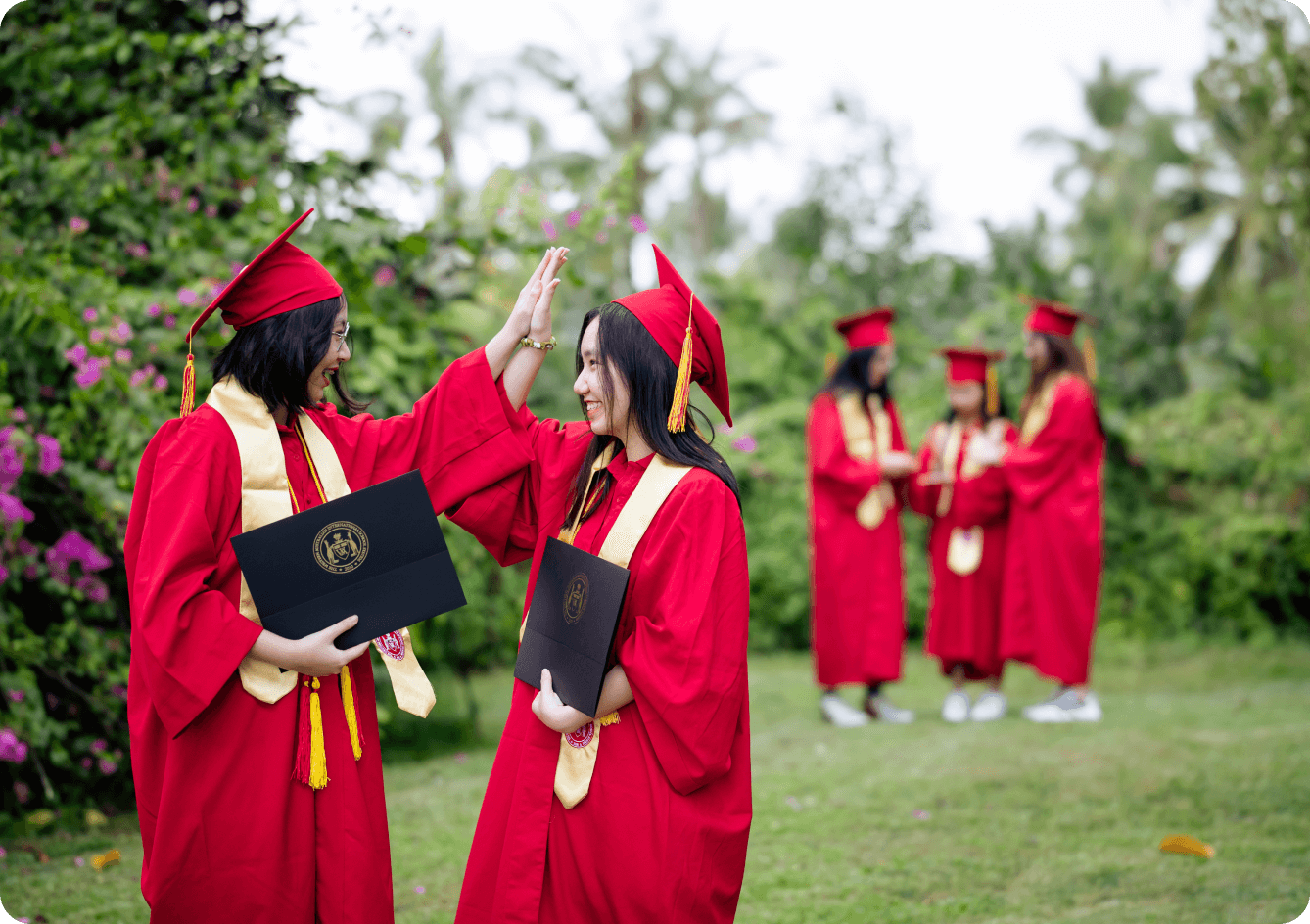 profile-scholarship
